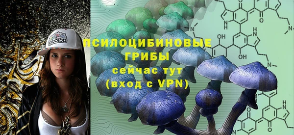 твердый Приозерск