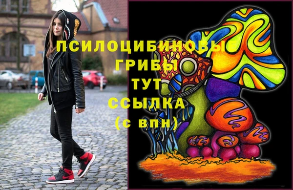 прущая мука Арсеньев
