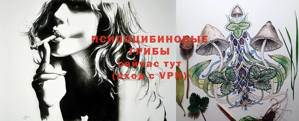не бодяженный Армянск