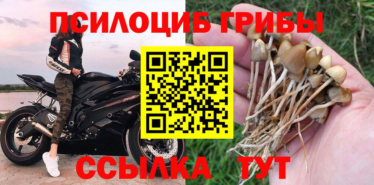 Псилоцибиновые грибы MAGIC MUSHROOMS Белая Калитва