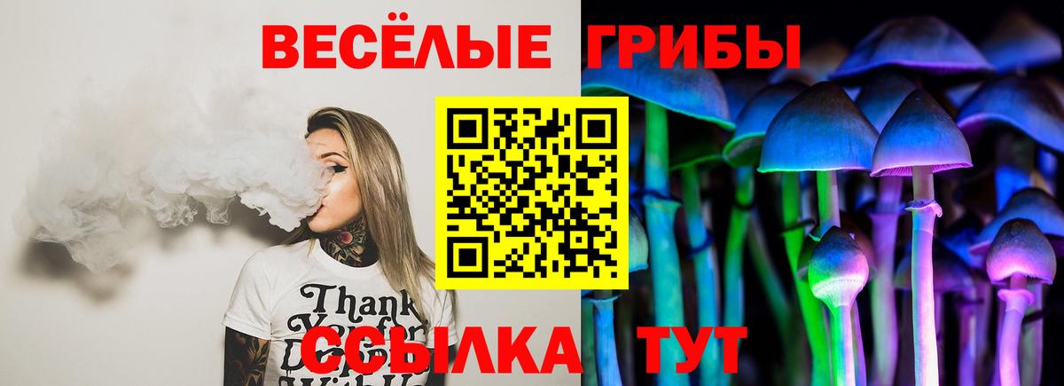 Псилоцибиновые грибы MAGIC MUSHROOMS  Белая Калитва 